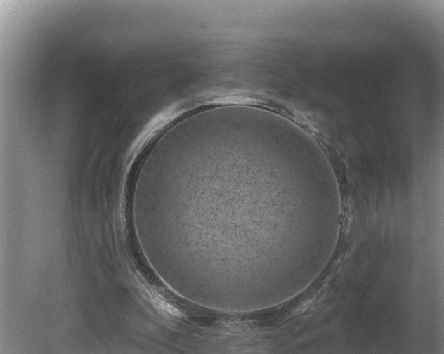 X0000080740296200612221326