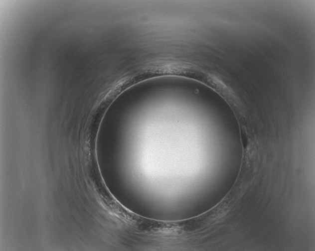 X0000080740306200612221326