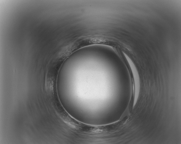 X0000080740315200612221325