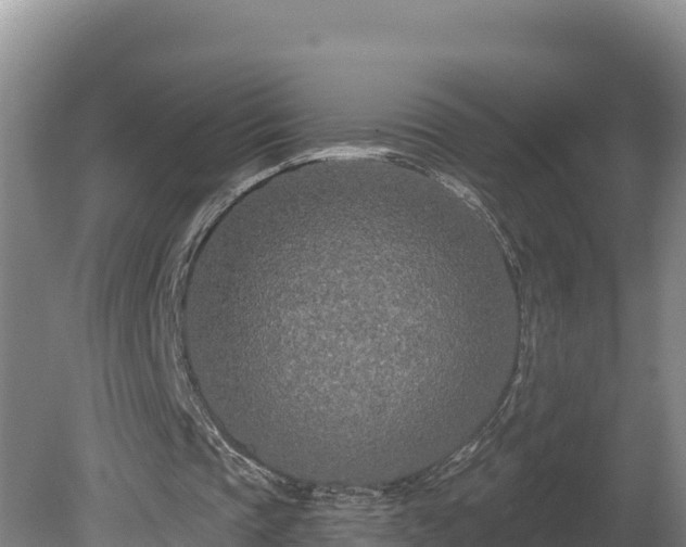 X0000080740337200612221324