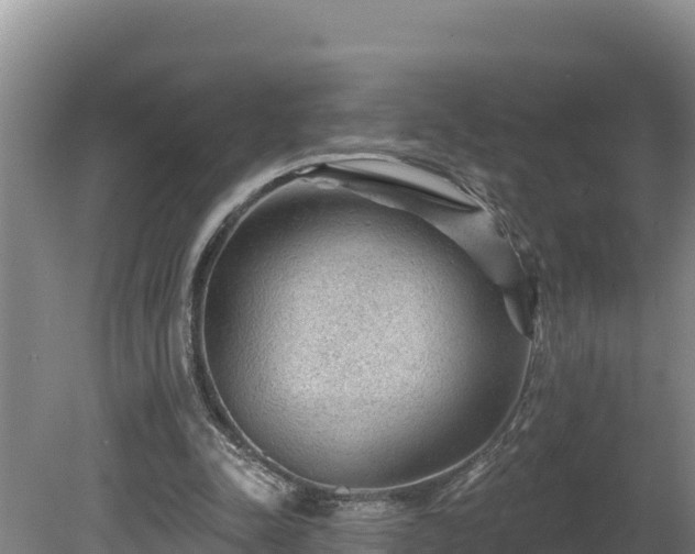 X0000080740342200612221324