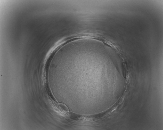 X0000080740343200612221324