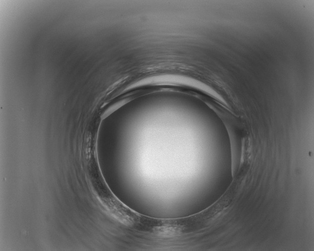X0000080740356200612221325