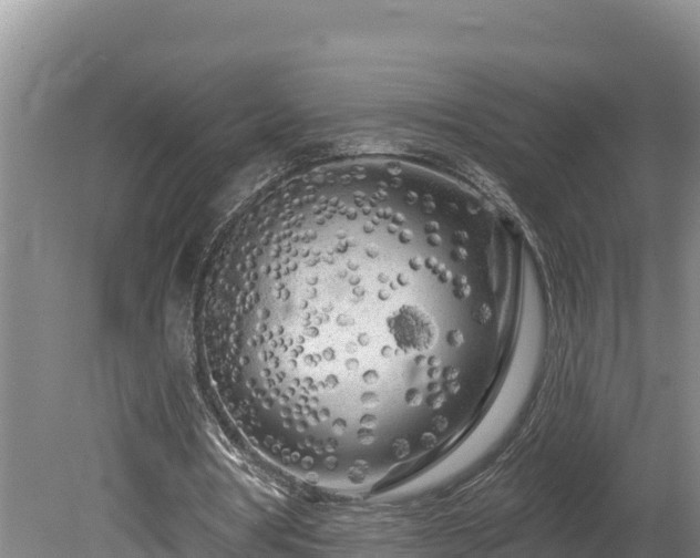 X0000080740386200612221324