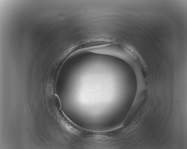 X0000080740393200612221324