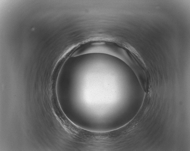 X0000080740436200612221323
