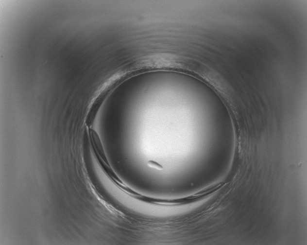 X0000080740438200612221323