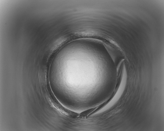 X0000080740446200612221323