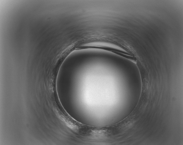 X0000080740450200612221323