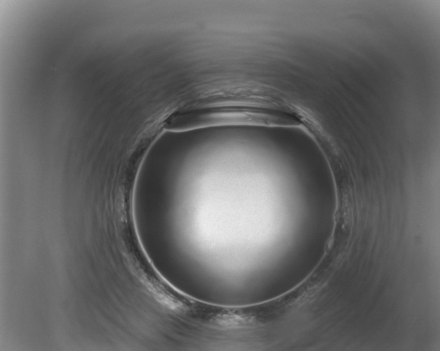 X0000080740453200612221323