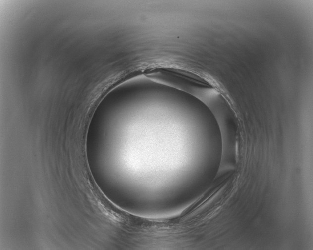 X0000080740481200612221323