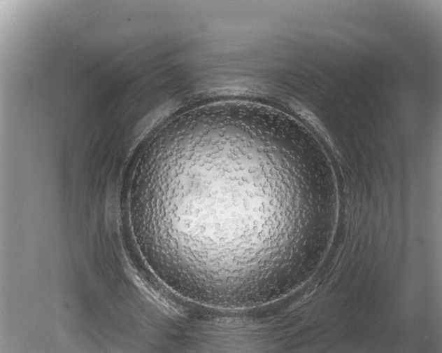 X0000080740482200612221323