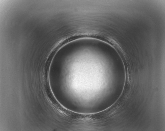 X0000080740483200612221323