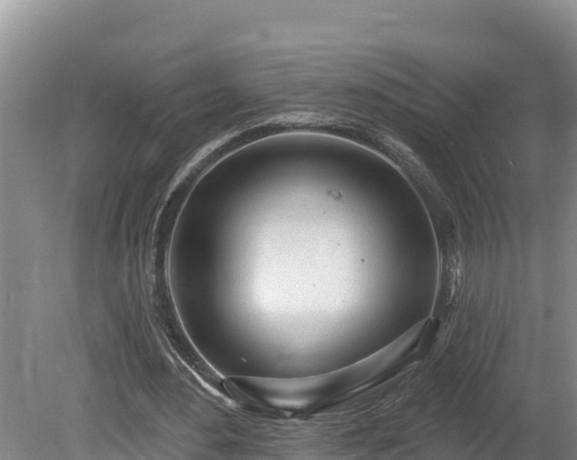 X0000080740484200612221323