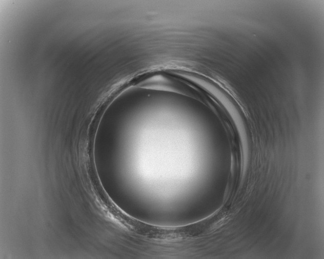 X0000080740485200612221323