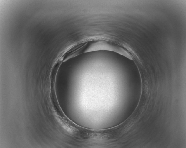 X0000080740486200612221323