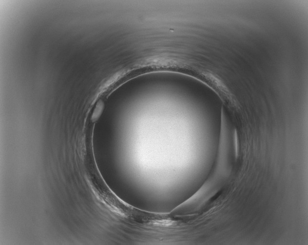 X0000080740488200612221323