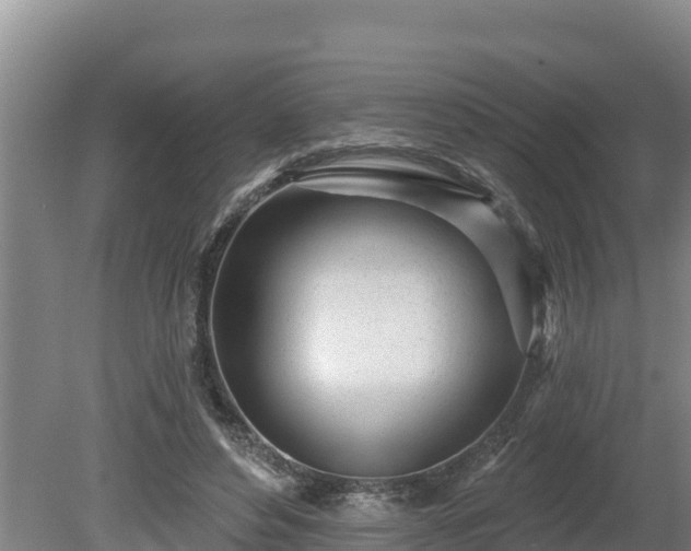 X0000080740496200612221322