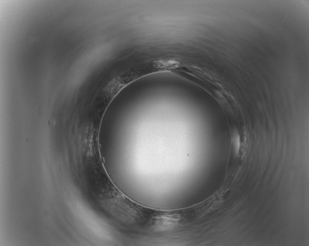 X0000080740525200612221322