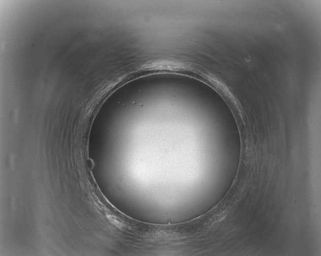 X0000080740529200612221321