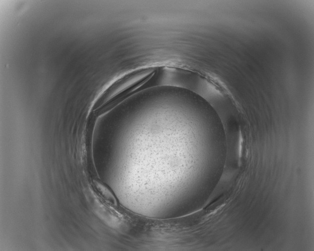 X0000080740532200612221321