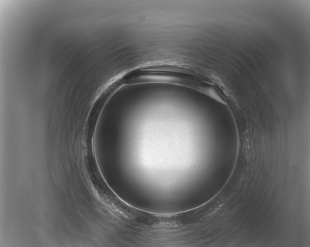 X0000080740536200612221321