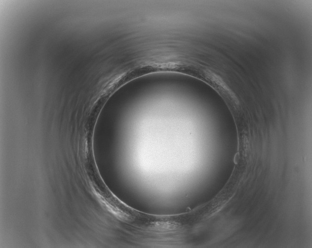 X0000080740541200612221321