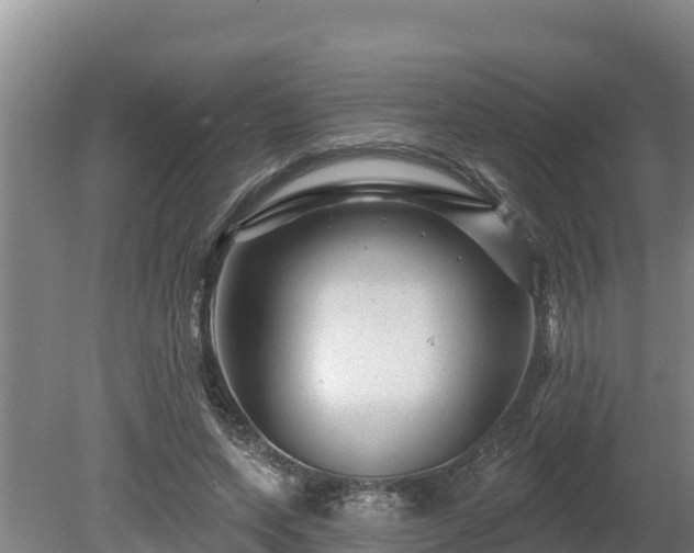 X0000080740543200612221321