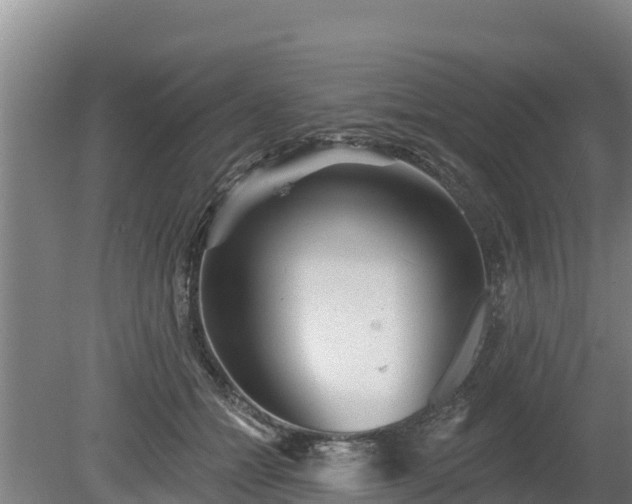 X0000080740558200612221322