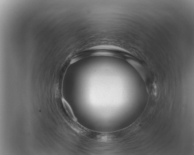 X0000080740564200612221322