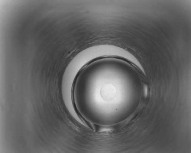 X0000080740572200612221322