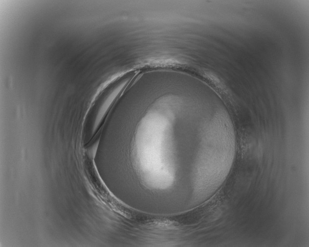 X0000080740583200612221321