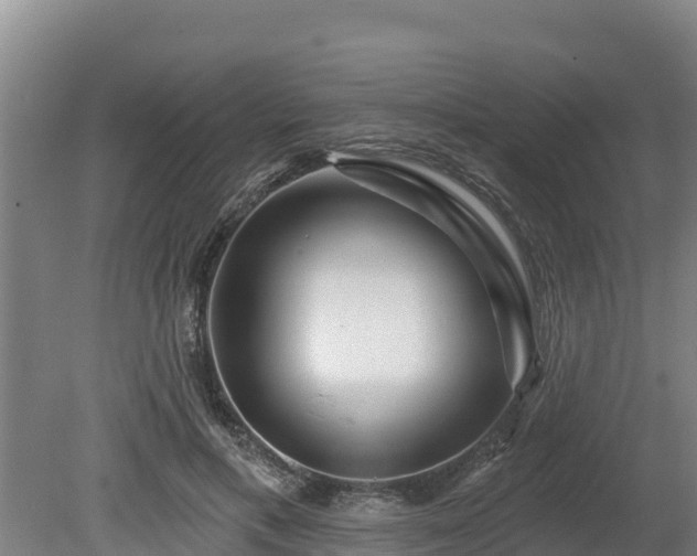 X0000080740597200612221321