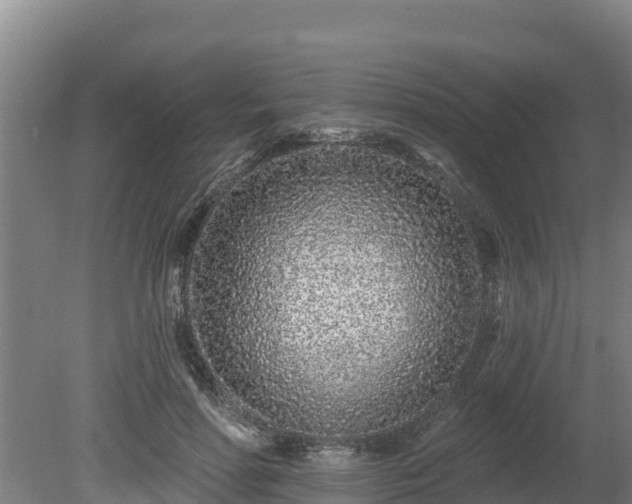 X0000080740598200612221321
