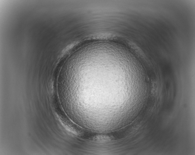 X0000080740636200612221320