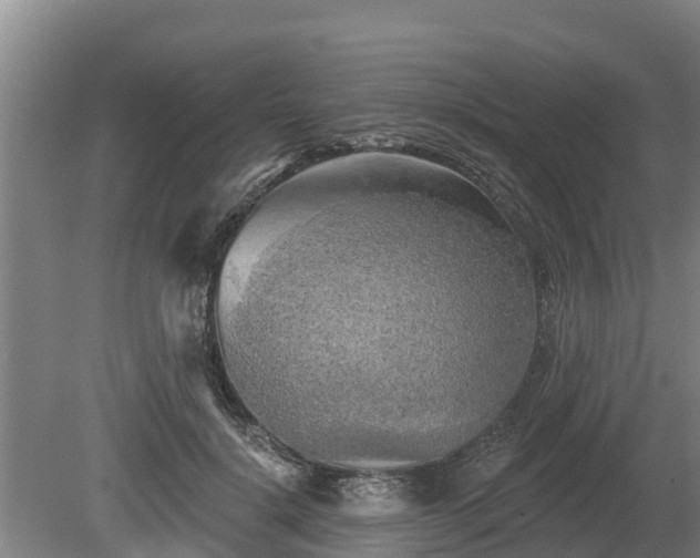 X0000080740652200612221320