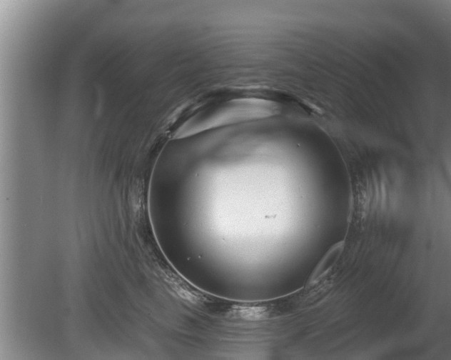 X0000080740665200612221320