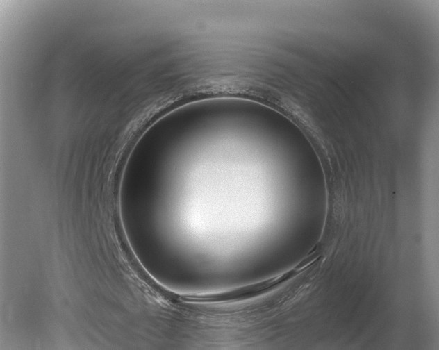 X0000080740673200612221319