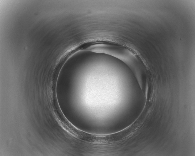X0000080740677200612221319