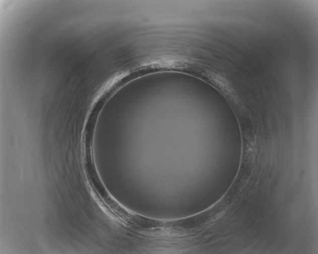 X0000080740678200612221319