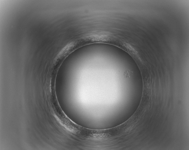 X0000080740686200612221319