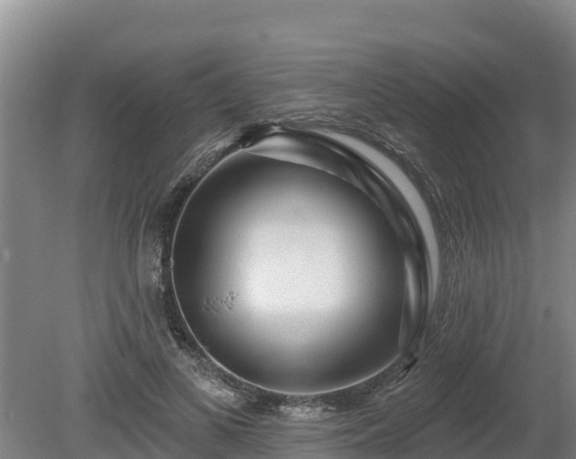 X0000080740693200612221319