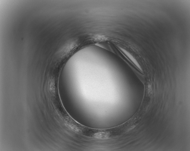 X0000080740700200612221319