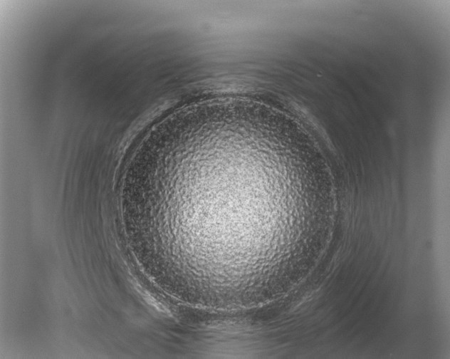 X0000080740721200612221318
