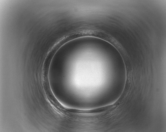 X0000080740722200612221318