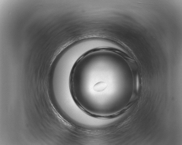X0000080740725200612221318