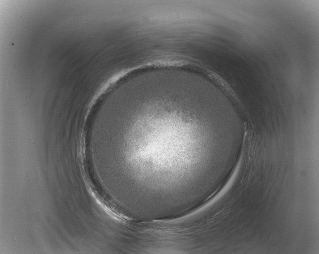 X0000080740726200612221318