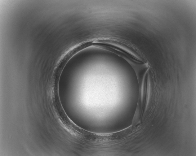X0000080740728200612221318