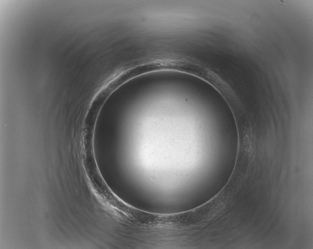 X0000080740730200612221318