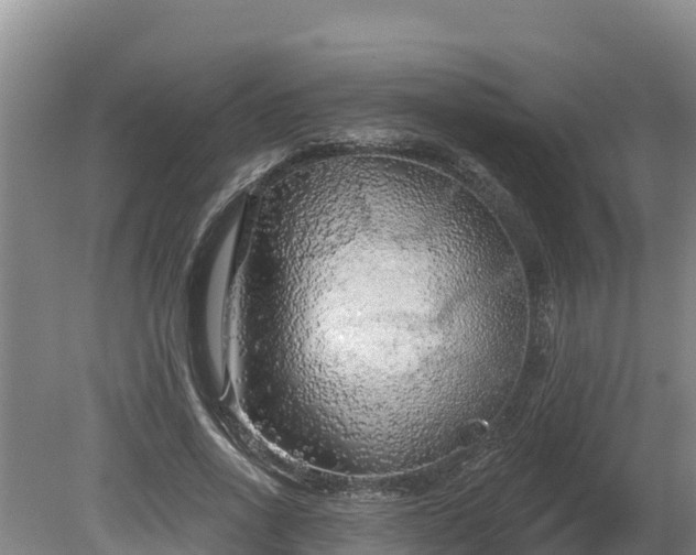 X0000080740734200612221318